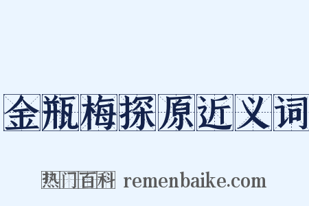 金瓶梅探原近义词是什么意思的图片